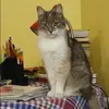 Отзыв от Виктория Шубина